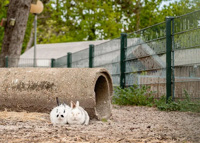 Glamping Callantsoog