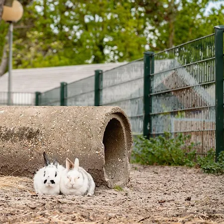 Glamping Callantsoog